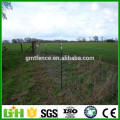 Factory Price Grassland field wire fence galvanized hinge joint roll fence for deer cattle sheep